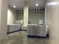 3000平果蔬保鮮庫規劃設計，冷庫總投資成本多少